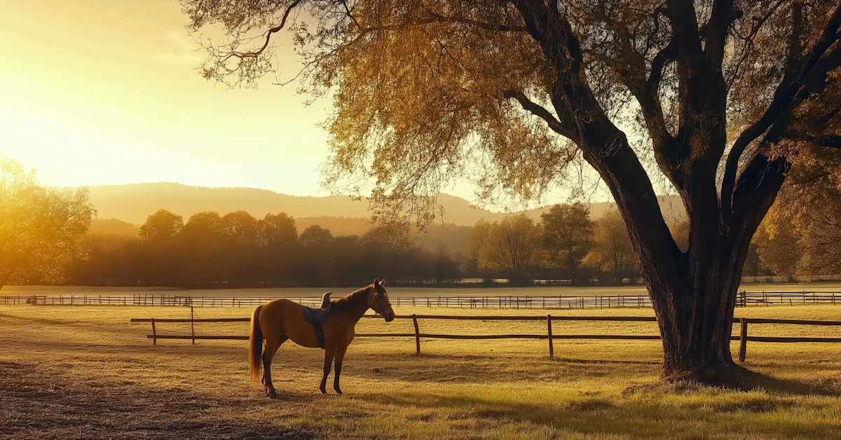 Twisted Saje Ranch Twisted Saje Ranch